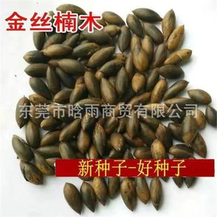 ���l��z�ľ�N�����С�~�E��h��ļ���ϡ�����ڽ�z�ľ��N��