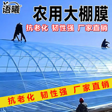 Ĥ߲˼ӺoPOĤ͸ϿϻBֳL۟o