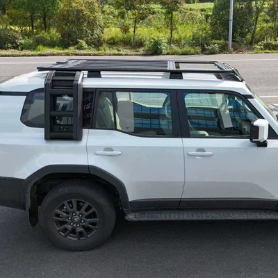 Roof rack: Bully Prado LC250 Roof