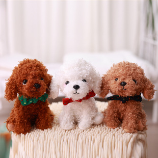 8��צ�C�»�̩�ϼ�����Ȯ�ɐ۹���ë�q��ż���з���С�����ރ�ͯ