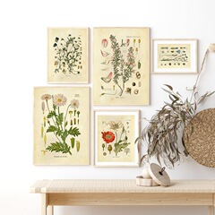 Retro-style home decoration painting, flower and plant encyclopedia, six-piece unframed canvas wall art set for living room and bedroom