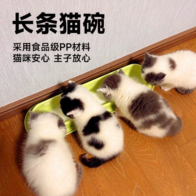Длинная миска для кошек для новорожденных котят, поилка для кошек с защитой от опрокидывания, миска для домашних животных для нескольких кошек.