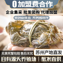 �F؛�K�ݾ�Ʒ���lз�ش�з���lз�r���з�Fُ���l�����ͶY