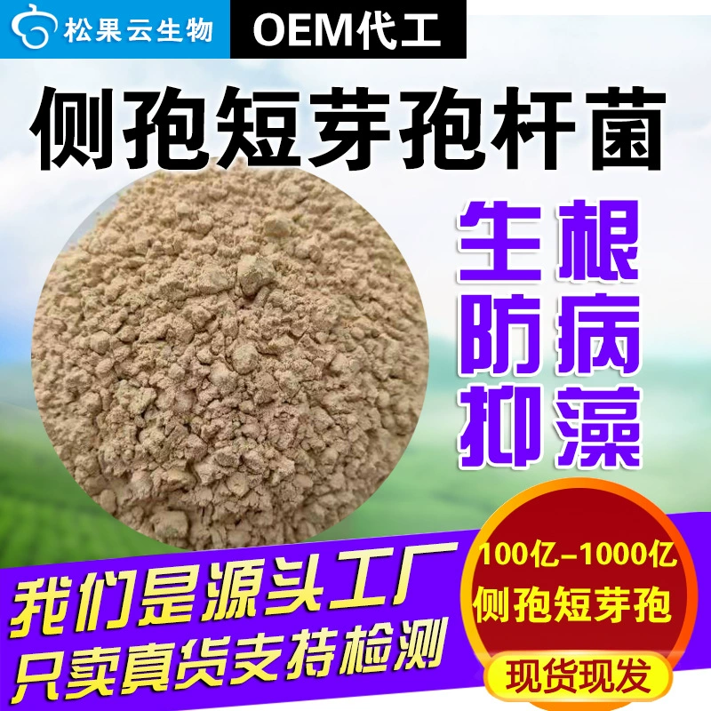 10 миллиардов — 10 миллиардов Bacillus subtilis укрепляет рассаду и подавляет синие водоросли и голые водоросли, профилактические пробиотики для профилактики болезни субтилис.