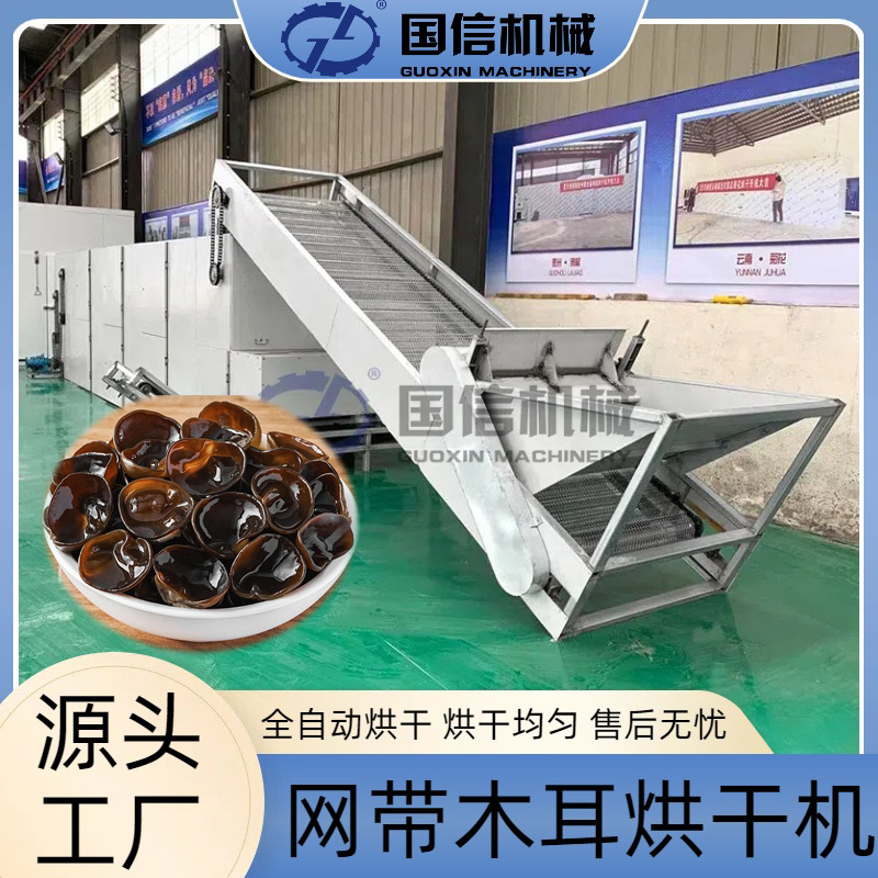 连续桑耳黑菜脱水烘干机 银耳黑木耳菌类烘干设备 网带木耳烘干机