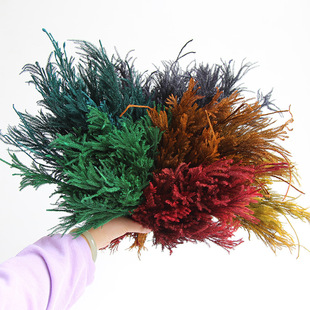 �����ߡ�����ʯ��/�{�Ӳݡ�ɭϵ�������滨diy������ļҾ��b�