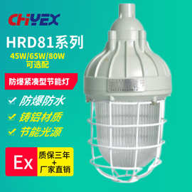 HRD81防爆紧凑型节能灯45W65W85W BAD81防爆弯灯法兰护栏式防爆灯