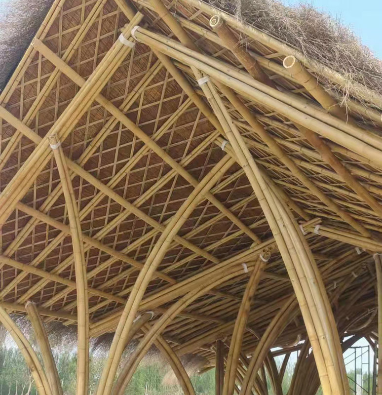 d205d598-108e-4e86-aece-214a5f