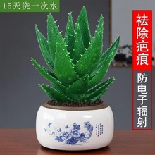 �J�C���Զ���ֲ���҃������Ʋ�ҹ���k������С�Gֲ�辰���B��ĳȩ