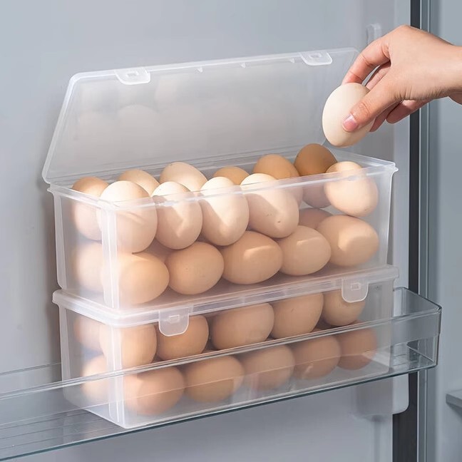 Egg Storage Box for Refrigerator with Side Door for Egg Carton Transparent Plastic Crisper Noodle Noodle Egg Rack Egg Grids
