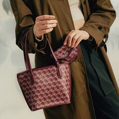 Christy NG 新しいミニトートレディースバッグファッショナブルで多用途な野菜バスケットショッピングバッグマザートートショルダーバッグ