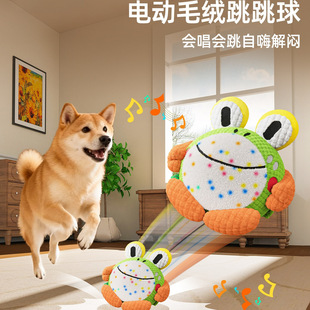 �������늄������������˽␞�l��Ȯĥ����ҧ̩�Ͽ»�Ȯ���