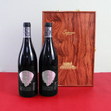 M16ȸɼtѾƌwlֱlֶYMڼt