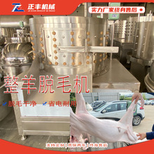 60圆筒清洗机羊脱毛机圆筒羊狗脱毛设备全自动去羊毛机器羊褪毛机