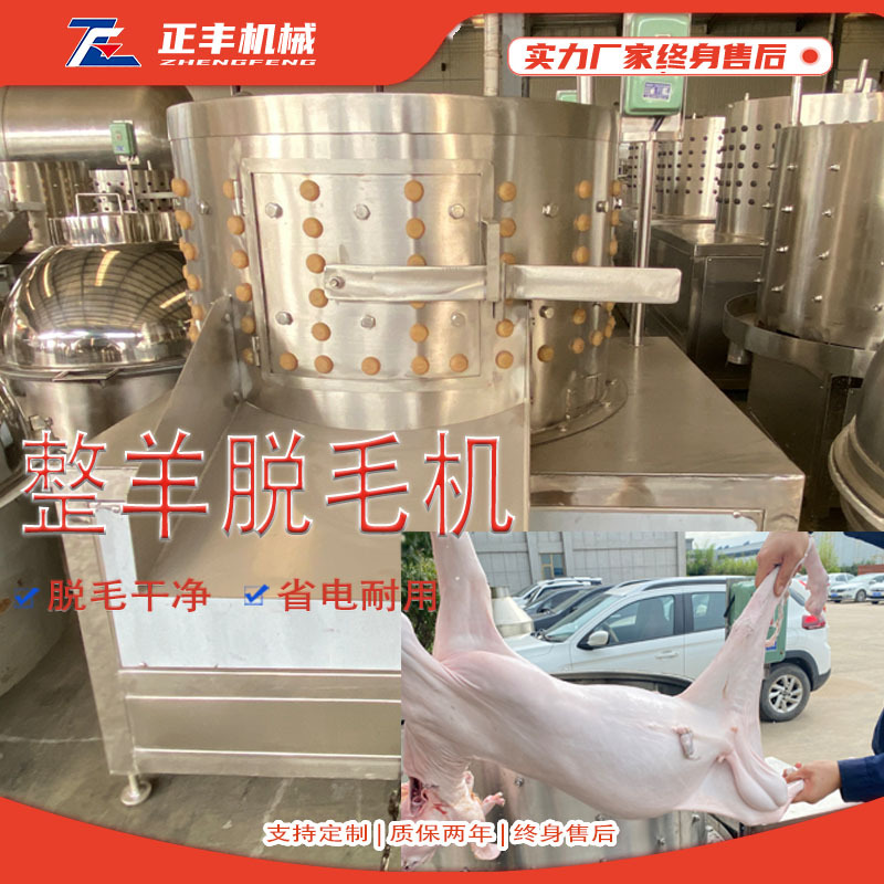 60圆筒清洗机羊脱毛机圆筒羊狗脱毛设备全自动去羊毛机器羊褪毛机