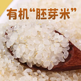 大米;其他米面类