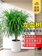 ��Ѫ�������k���҃ȴ��Ϳ͏d���F����լ�Gֲ����Ϙ���������횘�