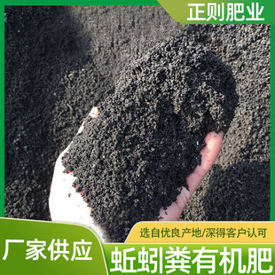 �l�ͼ����S�N���N�������ЙC�ʾ�ጷ��ϼ�ͥ�@ˇ�ʻ�������ͨ��