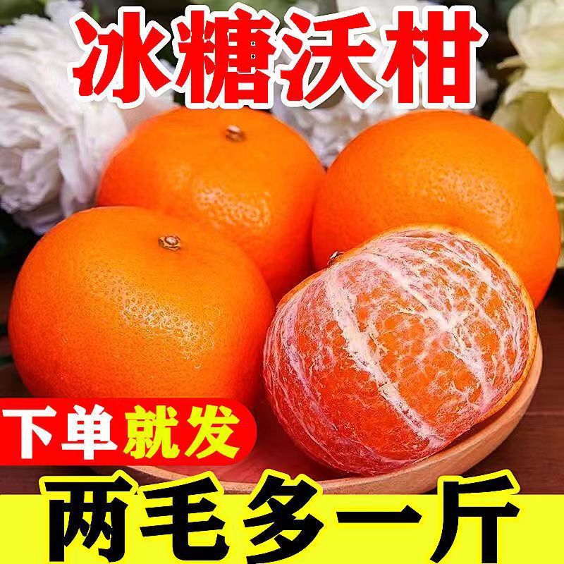 Guangxi Pellicle Orange Season fresh Orange Royal Straight hair