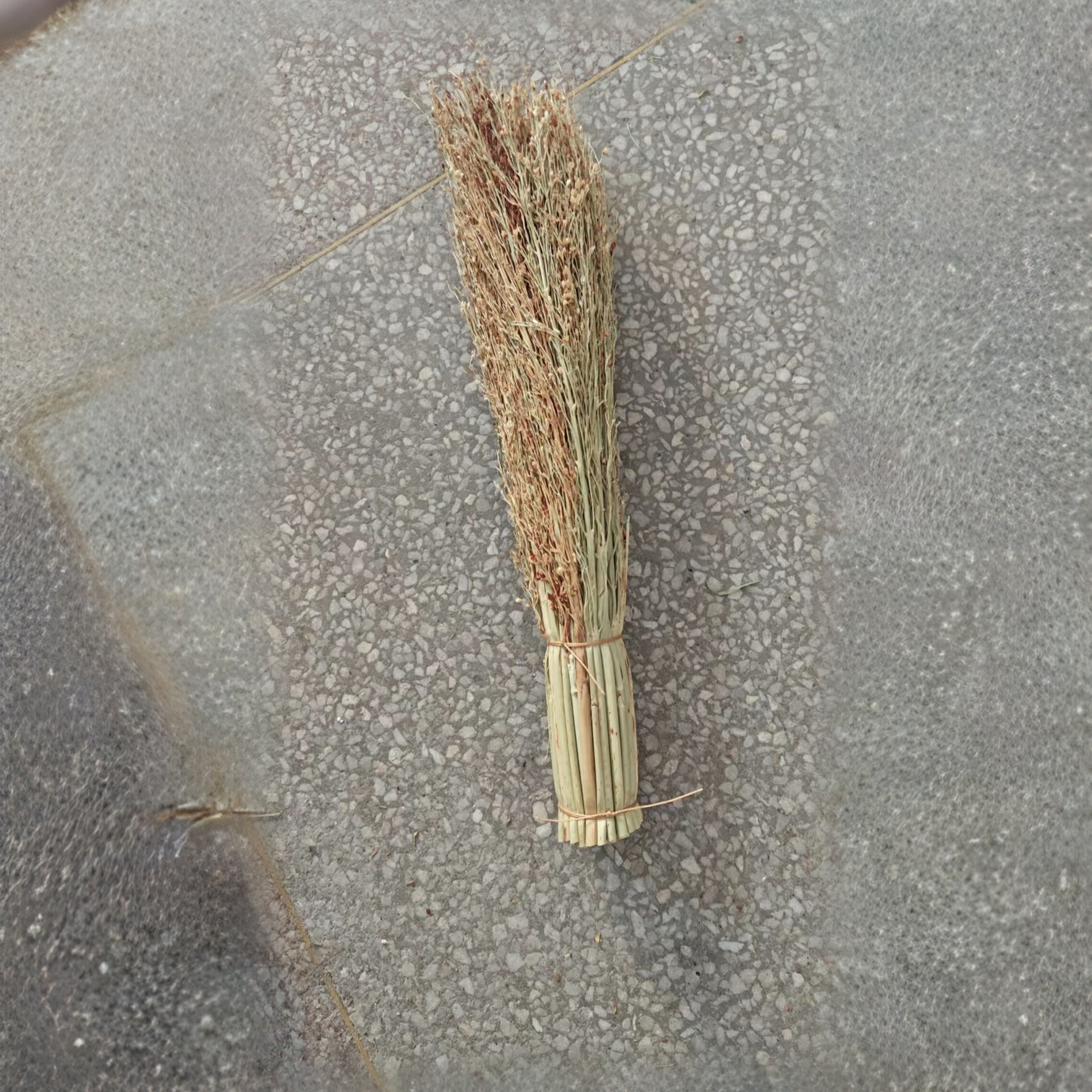 Los fabricantes de origen tienen una gran cantidad de plántulas de sorgo blanco del noreste, cepillos de arroz, cepillos de limpieza doméstica, ollas de sorgo diarias