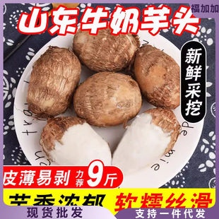 ɽ�|ţ�����^�F��СëܛŴ�㻬�r�aƷ��ܵ�߲����^С�������l