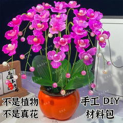新年の福祉柿の金の大きい胡蝶蘭の手作りのdiyの材料