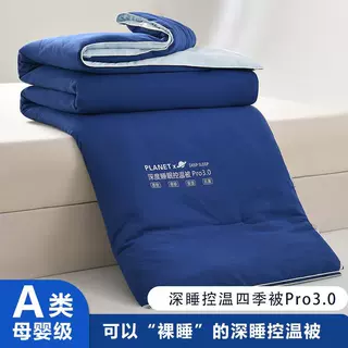 A类某朵公主深睡四季被子被芯冬被子母被棉被可机洗空调被四季被