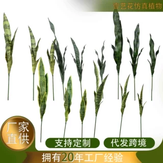 特价盆景仿真虎皮兰外母舌仿真植物家居摆件批发园林工艺装饰植物