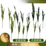 特价盆景仿真虎皮兰外母舌仿真植物家居摆件批发