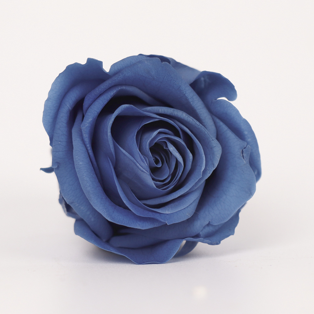 Flor eterna Rosa B-class cabeza de la flor 4-5cm regalo del Día de San Valentín ramo de flores flor eterna venta al por mayor DIY