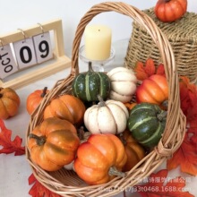 �＾�ж����＾�S�ճ�ɫ�ϹϷ���С�Ϲ�ģ�Ͳ�ɫ���b�Ʒ�����[��