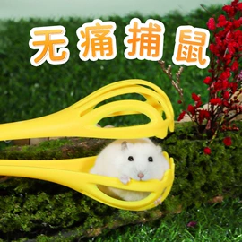 鸟笼;其他小宠用品;仓鼠生活用品