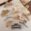11 pieces of the main picture