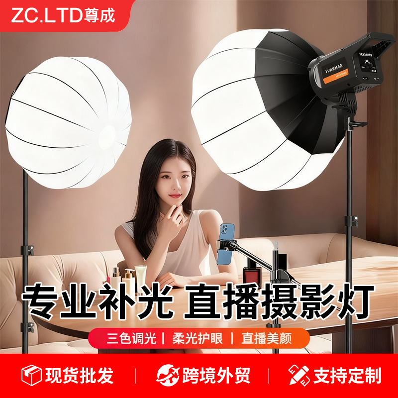 Professional Soft Light Ball Live Broadcast Fill Light Anchor Special Beauty Cob Photo Shooting Live Broadcast Room Photography Video Light