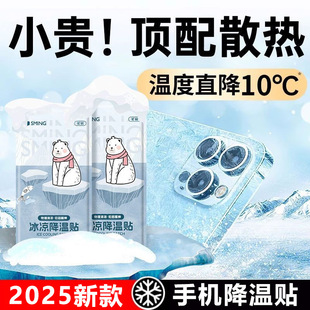 Apple Mobile Phone Cooling Patch for Students to Prevent Heatstroke in Summer Games Military Training Physical Ice Feeling