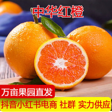 �������A�tѪ�Ⱥ������w�t�ȼt�ĳȮ����Fժˮ������ք����ˮ��