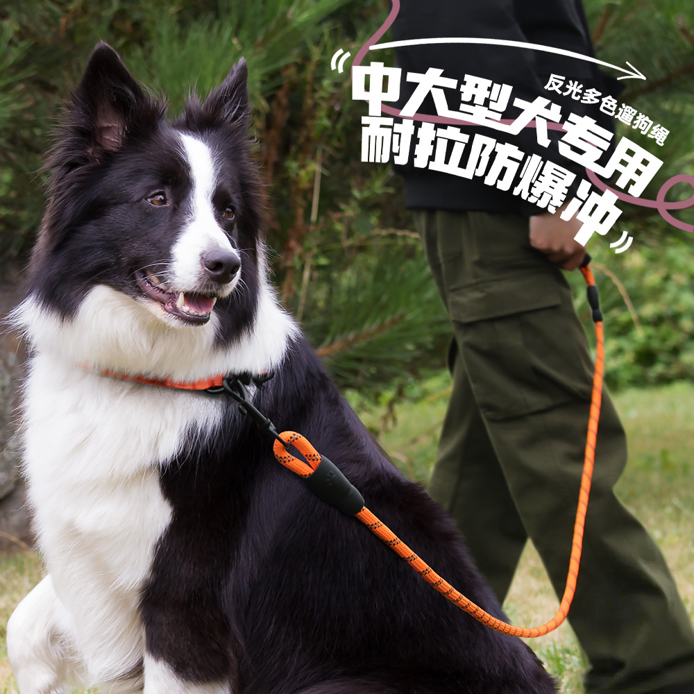 Cuerdas de tracción de perros de diez colores opcionales de hilo reflectante trenzado de nylon cuerdas redondas de perros cordas de perros duraderas
