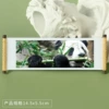 Panda 241