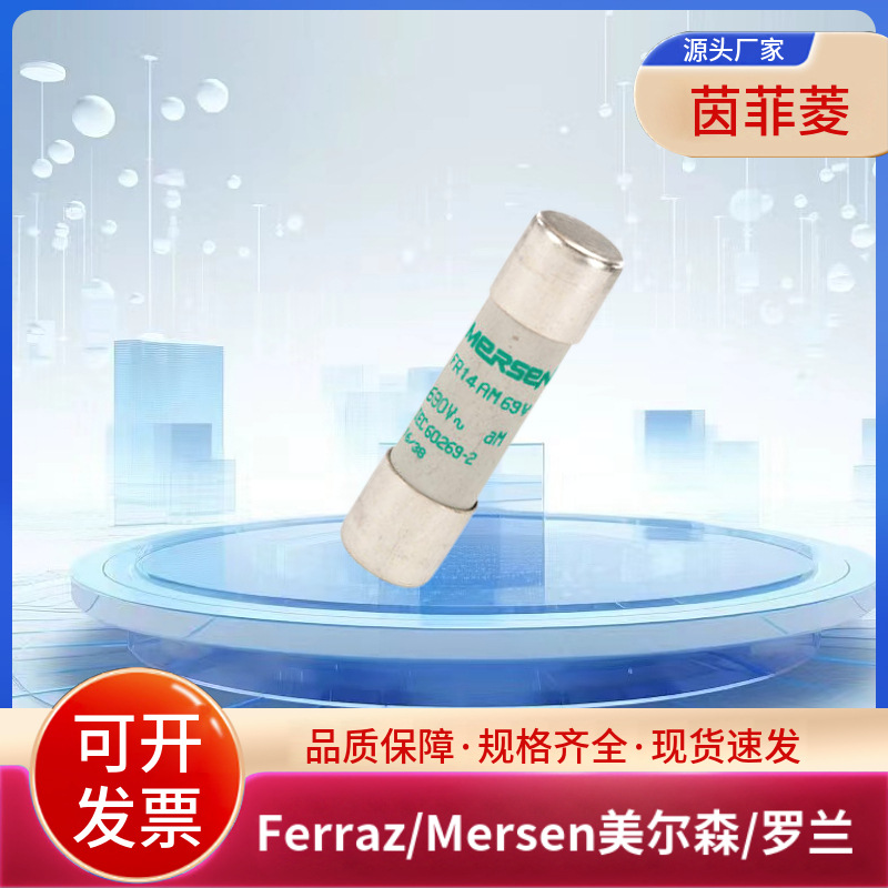 FR14AM50V8P FR14AM50V10P FR14AM50V12P美尔森/罗兰熔断器