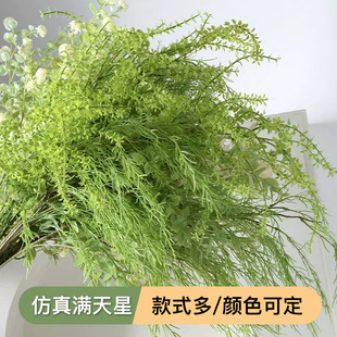 c쾰bGֲJȔݻYˇҾәb廨