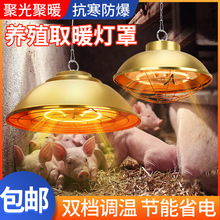 保温灯泡养殖场专用卤素碳纤维保温灯小鸡育雏仔猪用加热烤灯灯罩