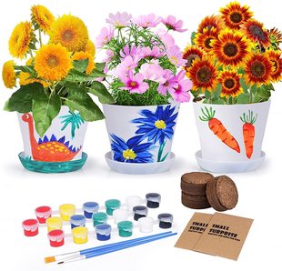Amazon diy children's indoor and outdoor mini green plant planting suit small set factory potted plant wholesale.