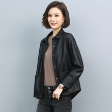 海宁时尚短款绵羊皮真皮皮衣女2024秋新款机车大码皮夹克外套宽松