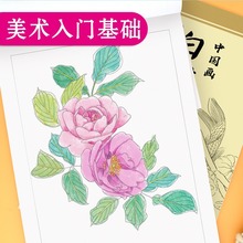 中国画白描入门篇国画临摹画册线描画册小学生儿童手绘描摹本绘画