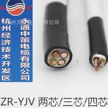 永通中策国标电线电缆  中策杭缆 ZCYJV2*1.5/2.5/4/6平方阻燃铜