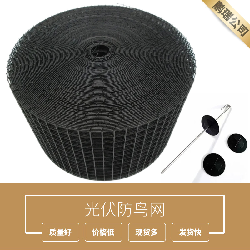 定制屋顶光伏防鸟网电焊网不锈钢钩钉浸塑电焊网铁丝网