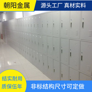 Double Door Locker Dormitory Gym Bag Storage Cabinet Thickeneded Steel Structure Lockable Employee Hanging Clothes Cabinet