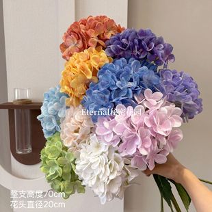 ���滨��֦����ؐ�������֧90Ƭ�����c��Y������·���廨