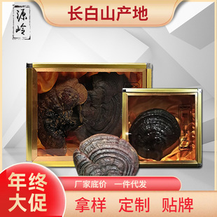 ���l�������`֥���`֥�Y����֦���׵�؛Դչ�N���h�S�ֶY