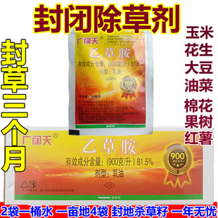�Ҳݰ����]���݄����l�󶹻�����������ħ���޻����]ș��ؚ�����